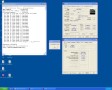 Result image