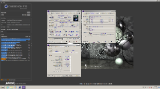 Result image