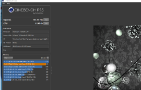 Result image
