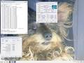 Result image