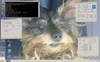Result image