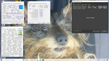 Result image
