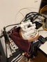 Result image